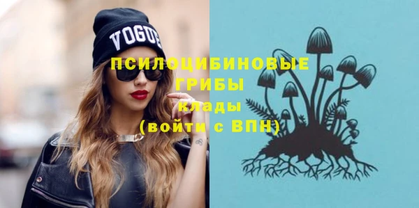 экстази Осташков