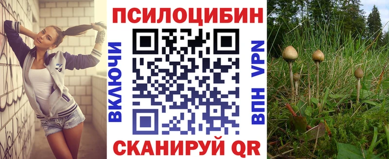 цены наркотик  Сланцы  Псилоцибиновые грибы ЛСД 