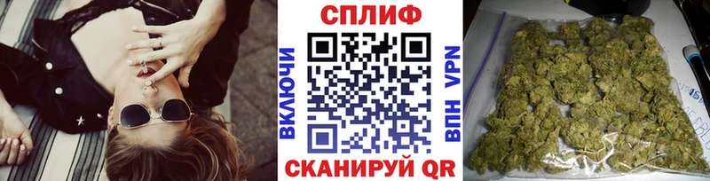 блэк спрут tor  Сланцы  Бошки Шишки планчик 